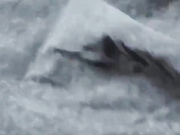 ДЕВИЦА ДРОЧИТ