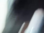 Golden_flower в ТЦ-1ч.