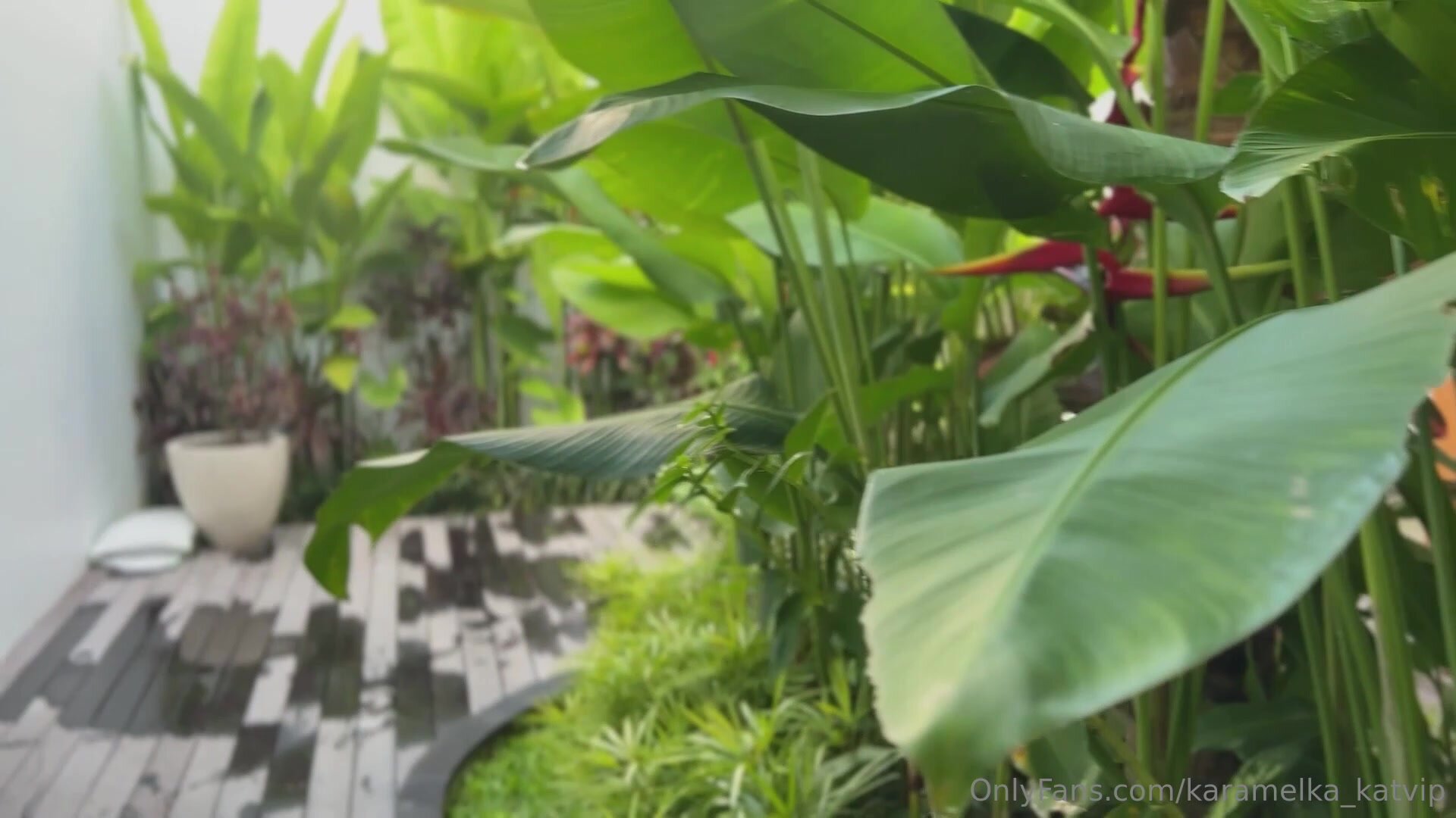 pazanre (amy_karamel)