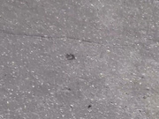 Шикарная большая жопа русской матюрки