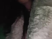 Annanas