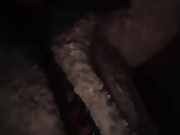 Annanas