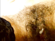 Elena7564 25.12.2025