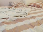 shyxkitten