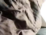 Pupi_Zefiro с ебарем