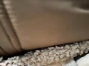 bambi_lu