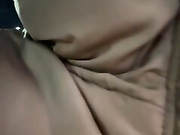 bambi_lu