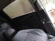 Модель в чате