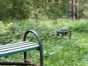 Effy-S в парке
