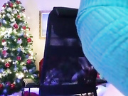 JuliaHesperaks