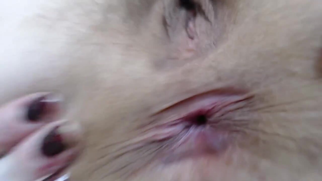 topcranberry