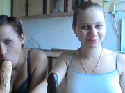 3DLadyS