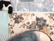bandicam 2017-07-21