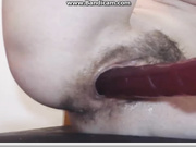 bandicam 2016-01-19