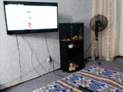 goldenfairy без макияжа