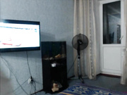 goldenfairy без макияжа