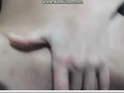 misty_kitten 2015-12-06 09-12-44
