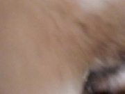 Секс парочки