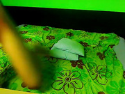 Xandra_G