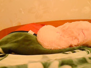 sexxxydoll приват с игрушкой