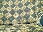 сука с игрушкой