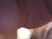 Anal.