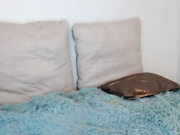 LucysLounge