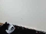 Eeeveee