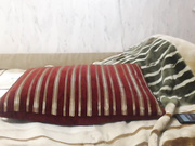 kis9mur кусты