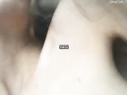 damerea в универе